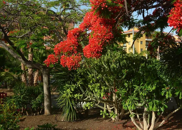 Vacacional La Sardina شقة *