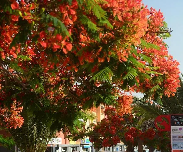 Vacacional La Sardina *