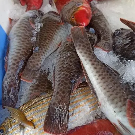 Vacacional La Sardina アパート