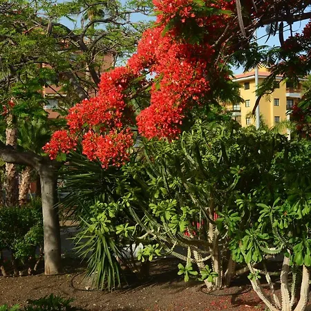 Vacacional La Sardina Daire *