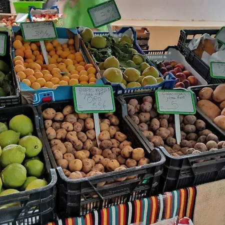 Daire Vacacional La Sardina